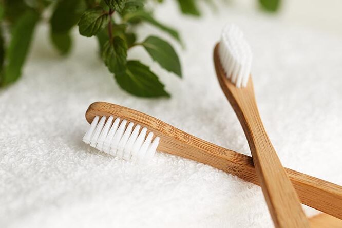 Studie aus der Schweiz belegt: Handzahnbürste wird bevorzugt